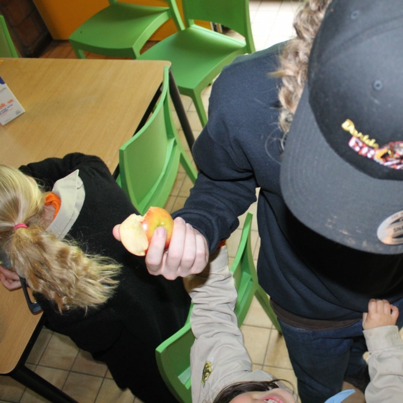 IMG 8792 - Scouts en Gidsen Zaventem 